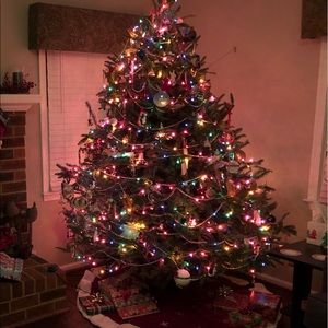 Meet your Posher, Jane